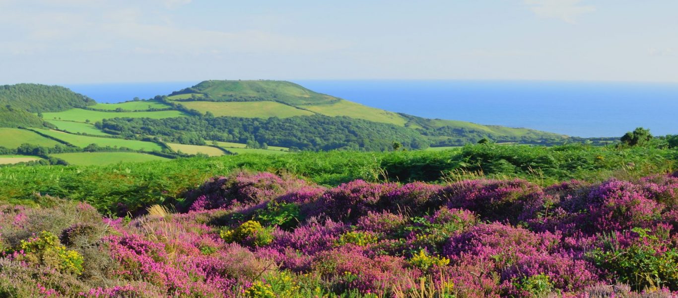 Pinewood Retreat Holiday Lodges Lyme Regis, Dorset